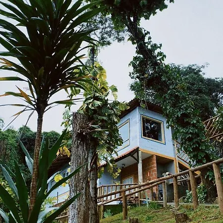 Sensorial Macacos-3